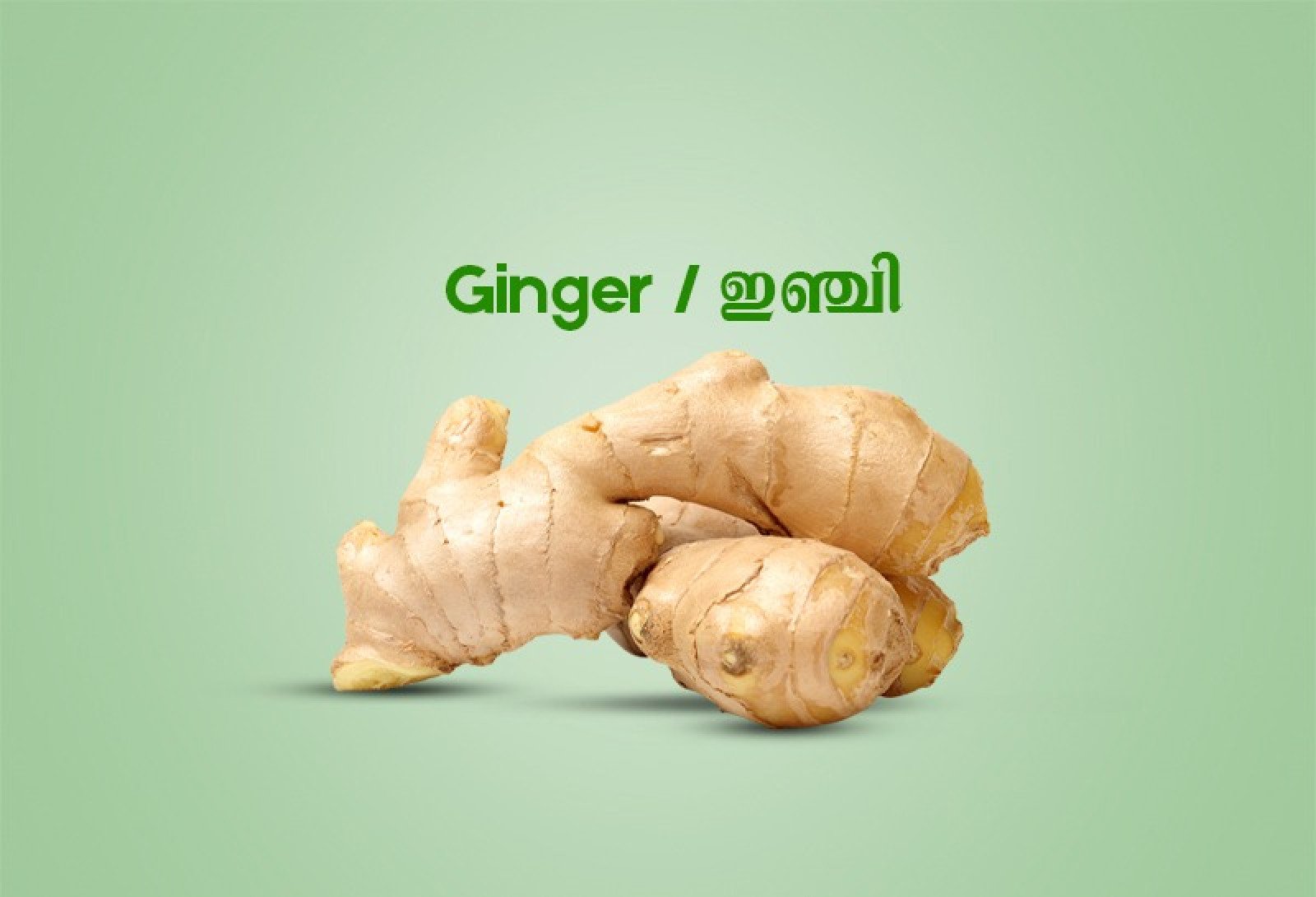 Ginger / ഇഞ്ചി - 250gm 